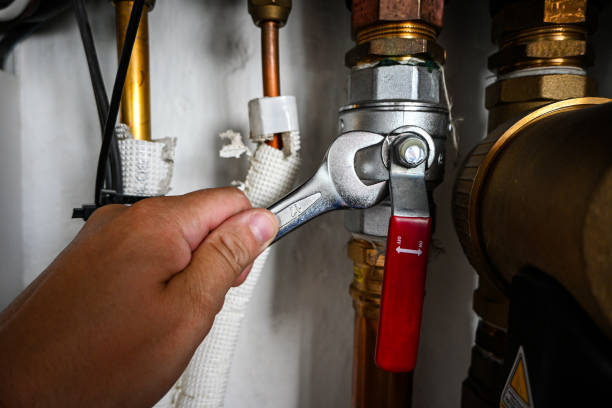 Best Sprinkler Systems  in Ocean City, FL